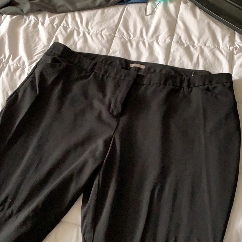 Maurice’s Dress Pants